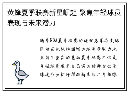 黄蜂夏季联赛新星崛起 聚焦年轻球员表现与未来潜力